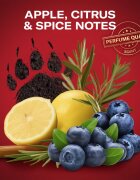 Old Spice Bearglove Anime set cadou pentru barbati