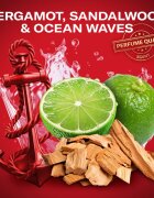 Old Spice Captain Gift Box set cadou