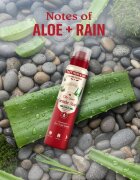 Old Spice Gentle Man's Aloe & Rain Deodorant Spray fara continut de aluminiu 140 ml