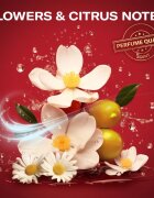 Old Spice Gift Box set cadou pentru barbati