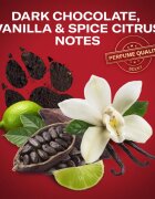 Old Spice Nightpanther DJ set cadou pentru barbati