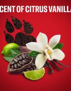 Old Spice Nightpanther Wild Explorer Set set cadou pentru barbati