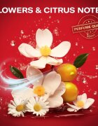 Old Spice Treasure Box set cadou