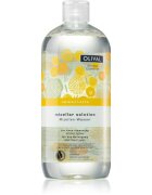 Olival Immortelle Micellar Solution apa pentru curatare cu particule micele 500 ml