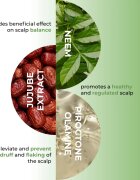 Olival Neem ser pentru scalp anti matreata 150 ml