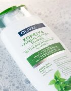 Olival Treatment Nettle and Peppermint sampon pe baza de plante cu menta 250 ml