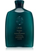 Oribe Moisture & Control șampon intens cu efect de regenerare pentru par indisciplinat 250 ml