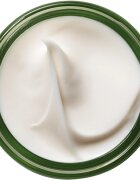 Origins A Perfect World™ Antioxidant Moisturizer With White Tea crema hranitoare cu antioxidanti 50 ml