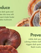 Origins Dr. Andrew Weil for ™ Mega-Mushroom Dark Spot Moisturizer cremă hidratantă pentru uniformizare impotriva imperfectiunilor pielii 50 ml