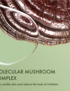 Origins Dr. Andrew Weil for ™ Mega-Mushroom Fortifying Emulsion with Reishi and Seabuckthorn emulsie calmanta si hidratanta 100 ml