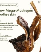 Origins Dr. Andrew Weil for ™ Mega-Mushroom Relief & Resilience Soothing Treatment Lotion crema de fata calmanta si hidratanta 200 ml