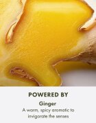 Origins Ginger Essence™ Sensuous Skin Scent Rollerball roll-on energizant unisex 10 ml