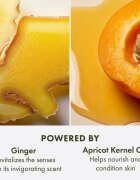 Origins Ginger Souffle™ Whipped Body Cream crema delicata 200 ml