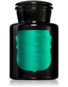 Paddywax Apothecary Noir Tabac & Pine lumânare parfumată 226 g