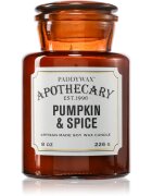 Paddywax Apothecary Pumpkin Spice lumânare parfumată 226 g