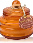Paddywax Pumpkin Spice lumânare parfumată 58 g