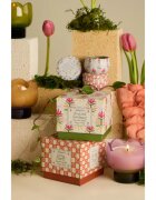 Paddywax Tulip Bronzed Gardenia lumânare parfumată 155 g