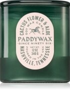 Paddywax Vista Cactus Flower & Aloe lumânare parfumată 340 g