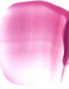 Paese Beauty Lipgloss With Meadowfoam Seed Oil lip gloss hidratant culoare 06 Vivid 3.4 ml