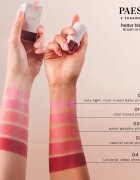Paese Butter Blend Blush Stick blush stick culoare 05 Pink 6 g