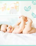 Pampers Premium Care Size 2 scutece de unică folosință 4-8 kg 23 buc