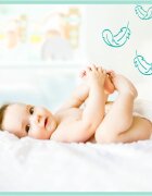 Pampers Premium Care Size 4 scutece de unică folosință 9-14 kg 52 buc