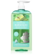 PAPOUTSANIS Karavaki Control & Detox șampon pentru scalp gras și uscat 600 ml