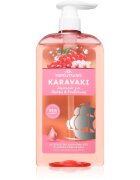 PAPOUTSANIS Karavaki Nutrition & Hydration sampon hranitor 600 ml