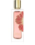 Paris Corner Ibisco Nirvana extract de parfum unisex 65 ml