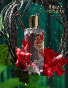 Paris Corner Ibisco Nirvana extract de parfum unisex 65 ml