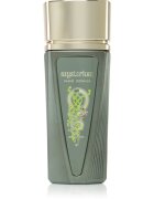 Paris Corner Mysterium Eau de Parfum pentru bărbați 100 ml