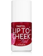 Pastel Lip To Cheek Tint fard de obraz lichid buze si obraz culoare 01 Carmen 9.6 ml