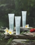 Paul Mitchell Awapuhi Wild Ginger Repair Cream Rinse balsam hranitor pentru toate tipurile de păr 250 ml