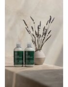 Paul Mitchell Tea Tree Lavender Mint Sampon hidratant si calmant pentru par uscat si indisciplinat 300 ml