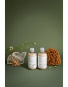 Paul Mitchell Tea Tree Scalp Care șampon impotriva subtierii parului 300 ml