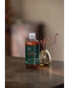 Paul Mitchell Tea Tree Special Color șampon pentru protecția părului vopsit 300 ml