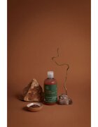 Paul Mitchell Tea Tree Special Color șampon pentru protecția părului vopsit 300 ml