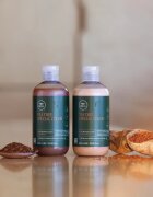 Paul Mitchell Tea Tree Special Color șampon pentru protecția părului vopsit 300 ml