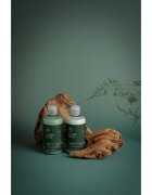 Paul Mitchell Tea Tree Special sampon revigorant 300 ml