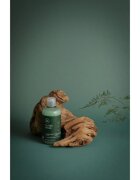 Paul Mitchell Tea Tree Special sampon revigorant 75 ml