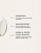 Payot Pâte Grise Masque Purifiant Rééquilibrant masca pentru ten gras 75 ml