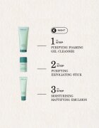 Payot Pâte Grise Stick Gommant Purifiant exfoliant facial pentru pielea problematica 25 g