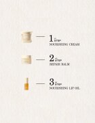 Payot Source Nutrition ulei pentru buze 5 ml