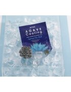 Petitfée Agave Cooling mască intensă cu hidrogel pentru netezirea pielii 32 g