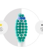 Philips Sonicare ProResults HX6014/87 capete de schimb pentru periuta de dinti 4 buc