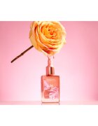 Physicians Formula Butter Glow fard de obraz lichid cu efect de nutritiv culoare Rosy Glow 30 ml
