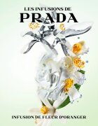 Prada Les Infusions: Infusion Fleur d'Oranger Eau de Parfum unisex 100 ml