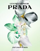 Prada Les Infusions: Infusion Iris Eau de Parfum unisex 100 ml