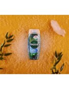Radox Feel Active gel de duș 225 ml