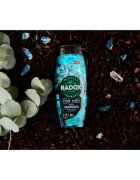 Radox Feel Energised Gel de duș pentru bărbați 2 in 1 450 ml
